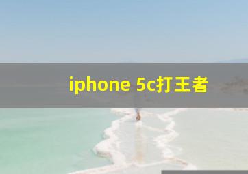 iphone 5c打王者